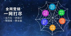 深圳seo優(yōu)化公司是怎么提升網絡營銷的的?